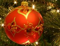 Sapin 01.jpg