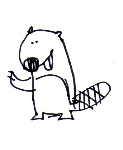PetitCastor01.jpg