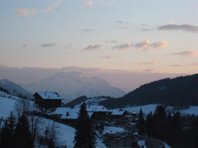 IMG_0345.JPG