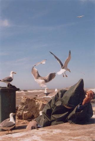marrak09.jpg